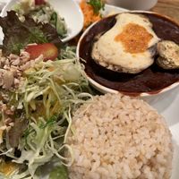   at Green Earth in Osaka