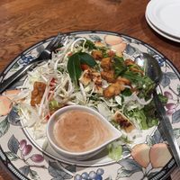 Gado2  at Green Earth in Osaka