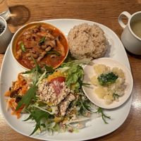Meal if the day  at Green Earth in Osaka