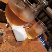 Kombucha and Beer at Green Earth in Osaka