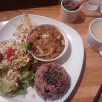 Lunch of the day at Green Earth in Osaka