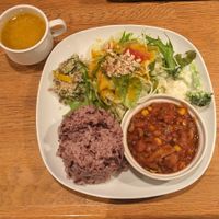 🌱 Daily Lunch Special (1100¥) + 100¥ for more rice at Green Earth in Osaka