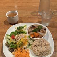   at Green Earth in Osaka