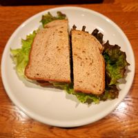  at Green Earth in Osaka