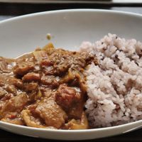Soy meat curry at Green Earth in Osaka