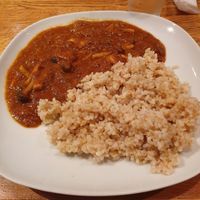 Mushroom curry at Green Earth in Osaka