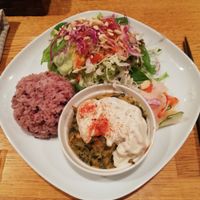 Daily set lunch! Wild rice, salad, vegetables, spinach with tzatziki 😍 at Green Earth in Osaka