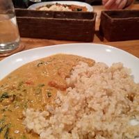 Curry at Green Earth in Osaka