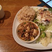 Chinese mabo tofu with salad rice and potatos and corn soup! at Green Earth in Osaka