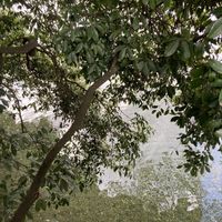 The view from our table  at Alishan Cafe in Saitama