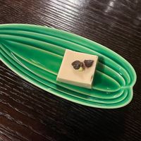 Chilled sesame tofu  at Fucha Bon in Tokyo