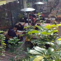 outdoor courtyard at Crayon House in Tokyo