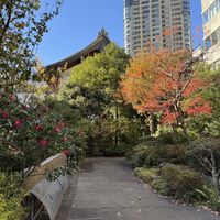 The garden outside  at Daigo in Tokyo