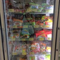 frozen food at G-Teik Vegetarian Supply in Malacca
