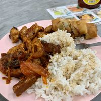 Spring roll, spicy crispy mock chicken, rice, and some other mock meat. RM7.5 at Ee Beng Vegetarian Food 毅明素食 in Penang