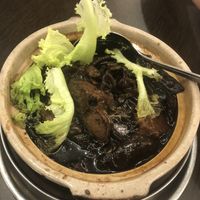 black vinegar veggie trotter (small) $10 👍🏻👍🏻👍🏻 at Greenland Vegetarian Restaurant 菩提林 in Northeast Singapore