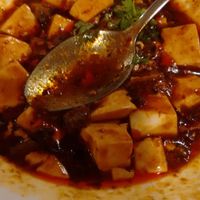 Spicy beancurd hotpot at Classic Lao Di Fang Vegetarian Restaurant in Central Singapore