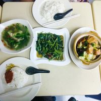 Some vegan dishes at Su Shi Piao Xiang. at Su Shi Piao Xiang 素食飘香 - Fortune Centre in Central Singapore