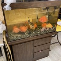 Poor babies..   at Sān Lái SùShí - Sun Like in Taipei