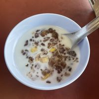 Sago in coconut milkk  at Chamlong's / The Vegetarian Society Chatuchak in Bangkok