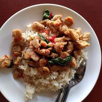 Rice with soypad 35 baht at Chamlong's / The Vegetarian Society Chatuchak in Bangkok