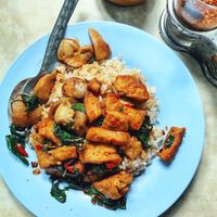 tofu mushroom stir fry, really good! at Kaodaeng - Kaeng Rawn in Bangkok