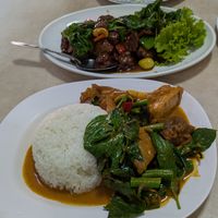 Vegan fish curry & vegan chicken with cashews at Ruyi Vegetarian in Bangkok