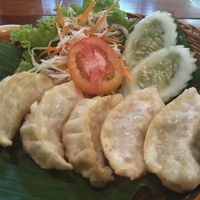 Best dumplings ever at Aum in Chiang Mai