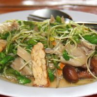 Fried tempeh and sunflower sprouts at Aum.  at Aum in Chiang Mai