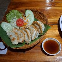 Fried dumplings at Aum in Chiang Mai