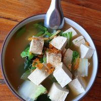 Tofu with ginger at Aum in Chiang Mai