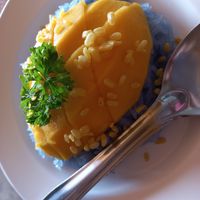 Mango and blue sticky rice at Aum in Chiang Mai