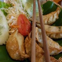 Dumplings  at Aum in Chiang Mai