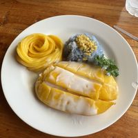 Mango sticky rice  at Aum in Chiang Mai