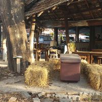  at Vegetarian Thai Orchid in Chiang Mai