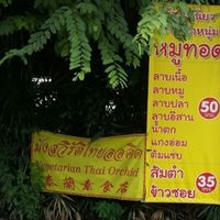 street signage at Vegetarian Thai Orchid in Chiang Mai