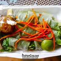 Vietnamese spring rolls at Vegetarian Thai Orchid in Chiang Mai