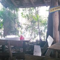 Garden at Vegetarian Thai Orchid in Chiang Mai