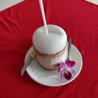 Fresh coconut served oh so beautifully!  at Five Star J Restaurant in Pattaya