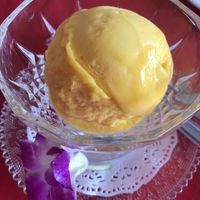 Vegan mango ice cream  at Five Star J Restaurant in Pattaya