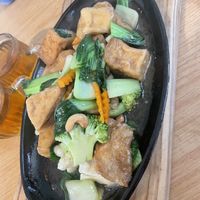 Braised tofu with vegetables   at Welcome Chinese Vegetarian Cafe in Christchurch