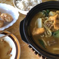 Fried Dumplings, Sesame Ginger Rice and Tofu Curry Hot Pot  at Welcome Chinese Vegetarian Cafe in Christchurch