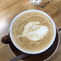 Coffee - soy flat white  at Taste Nature in Dunedin