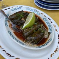 Dolmades delicious! at Wolf & Lamb Vegan in Nimbin