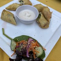 The little salads that come with all the entree dishes are so sweet!  at Wolf & Lamb Vegan in Nimbin