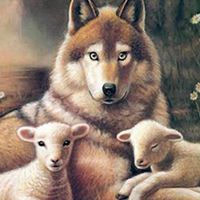 Beautiful  at Wolf & Lamb Vegan in Nimbin