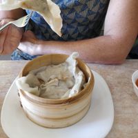 Dumplings at An Lac Vegan in Cabramatta