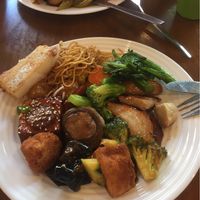 The white rectangle thing wasn’t good. The duck thing was very convincing! at Green Gourmet in Newtown