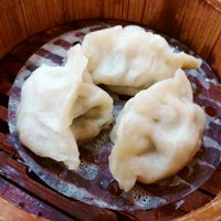 dumplings at Green Gourmet in Newtown