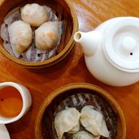 Tea and dumplings at Green Gourmet in Newtown